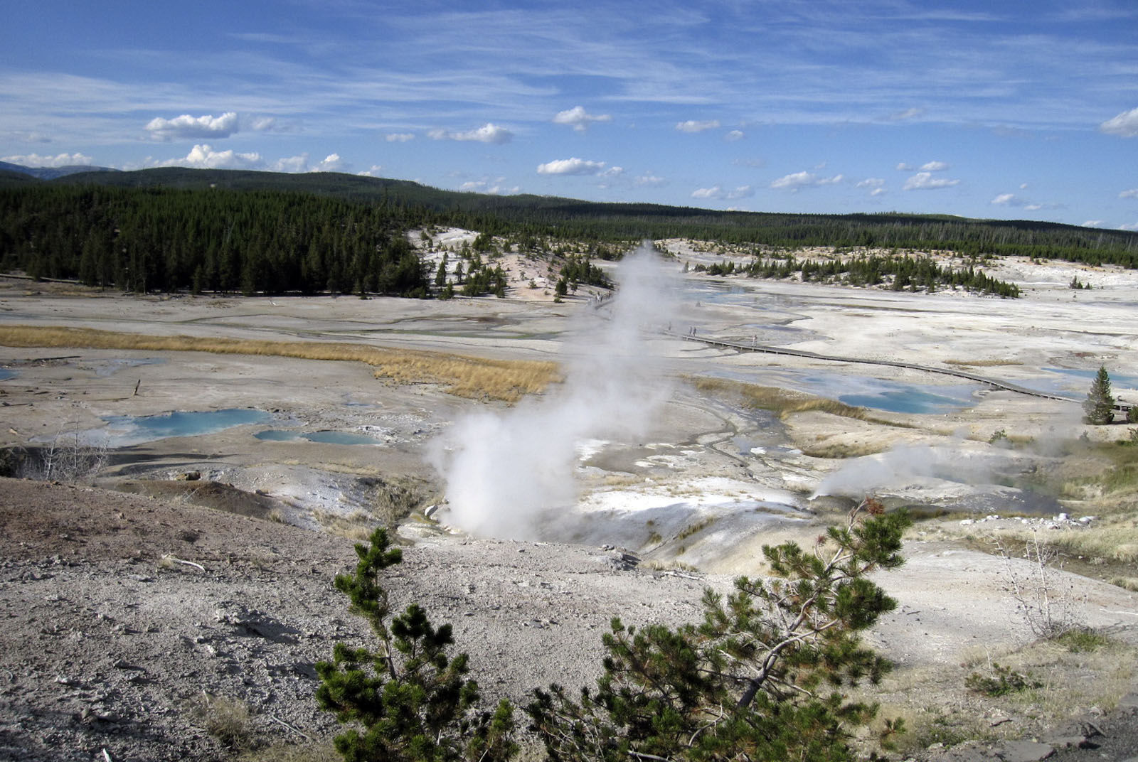 Travel Trip Yellowstone Trip